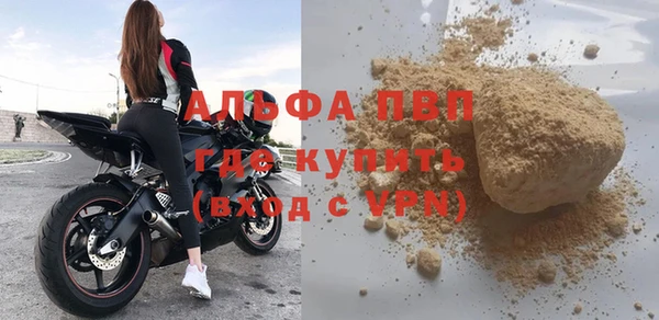 стаф Магадан