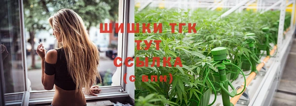 стаф Магадан